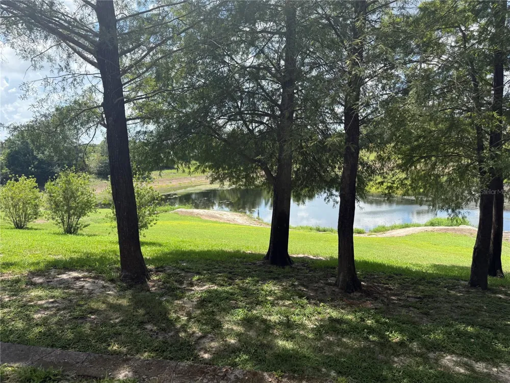 6384 RALEIGH STREET #2203 Orlando, FL 32835