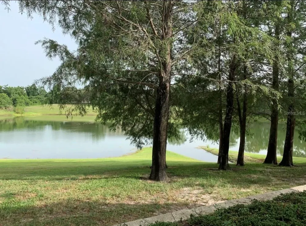 6384 RALEIGH STREET #2203 Orlando, FL 32835