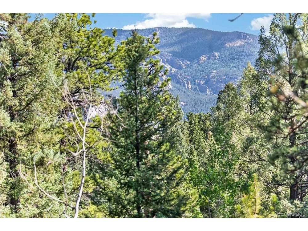 12907 S Cindy Avenue Pine, CO 80470