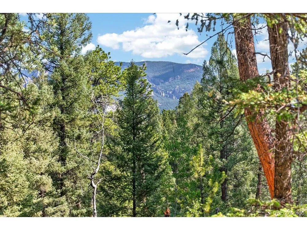 12907 S Cindy Avenue Pine, CO 80470