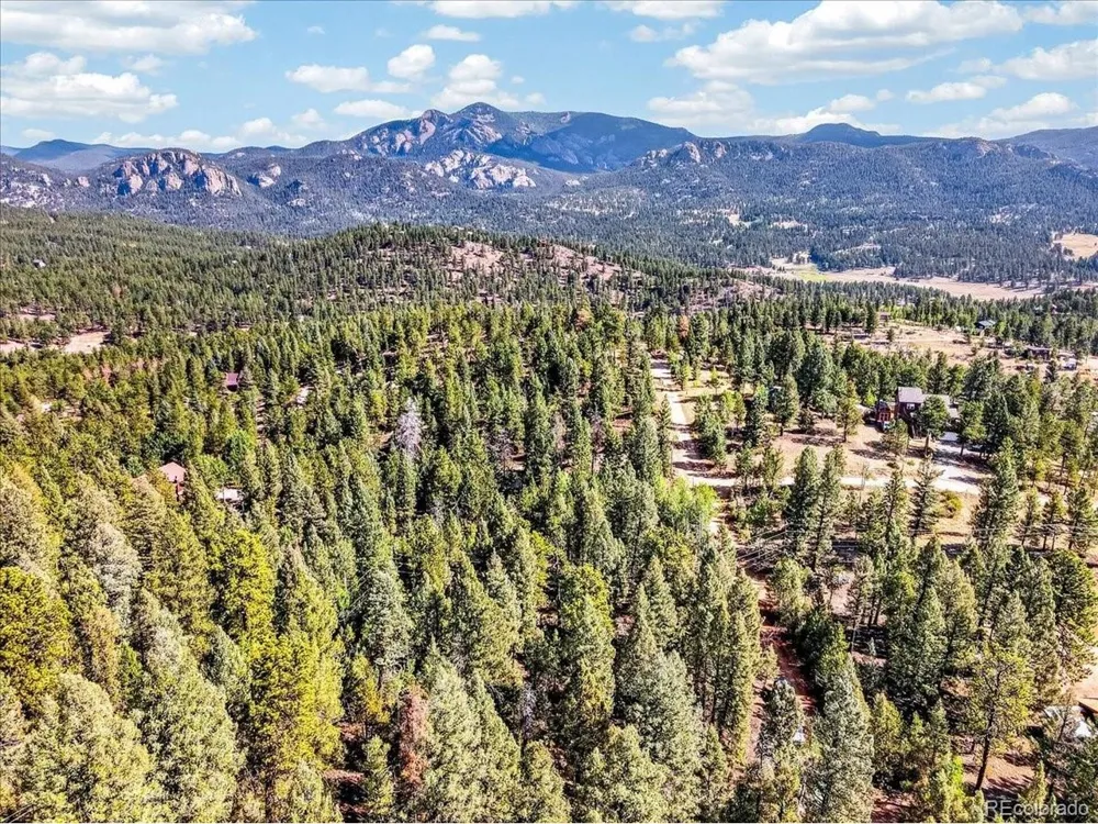 12907 S Cindy Avenue Pine, CO 80470