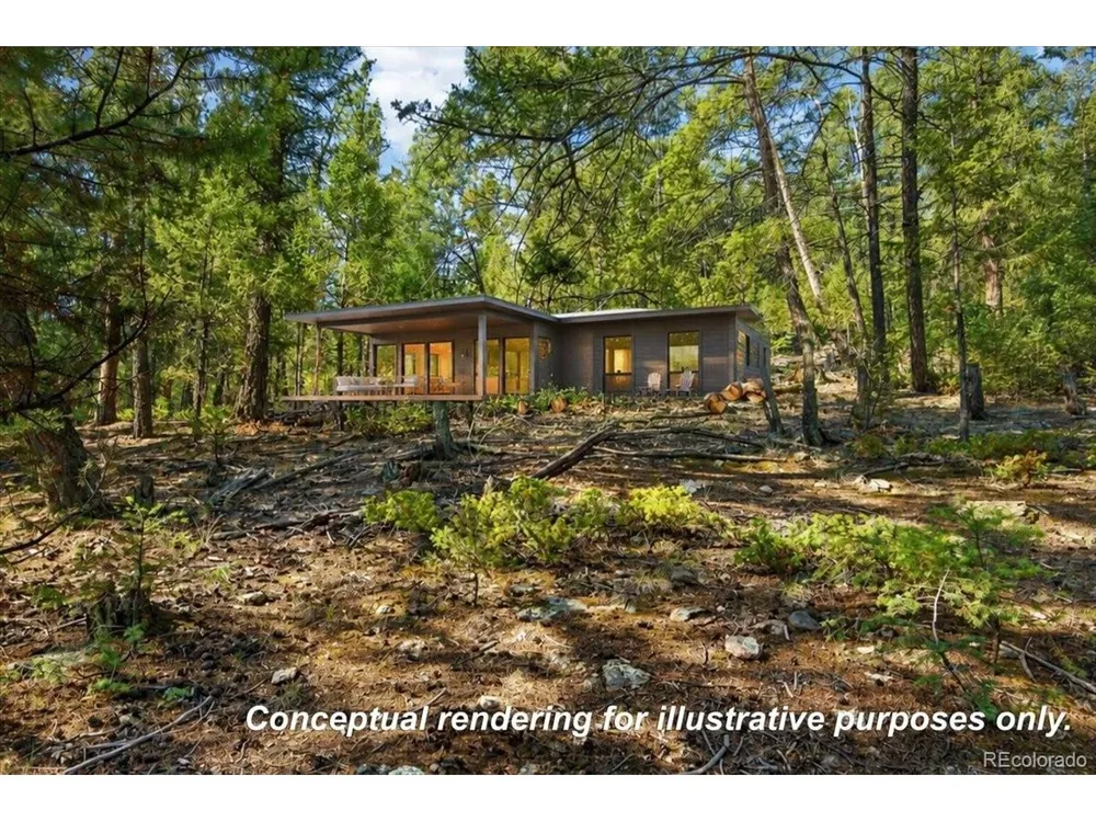 12907 S Cindy Avenue Pine, CO 80470