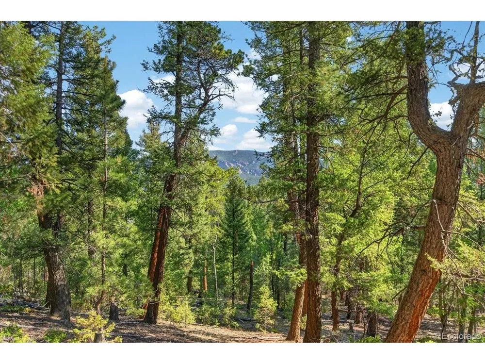 12907 S Cindy Avenue Pine, CO 80470
