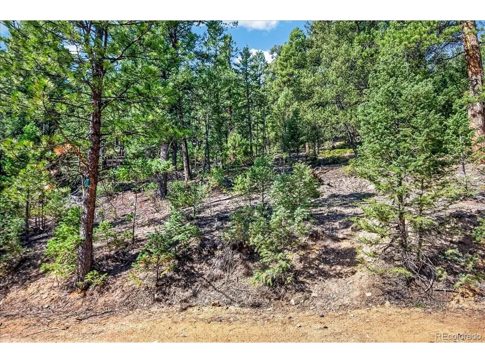12907 S Cindy Avenue Pine, CO 80470