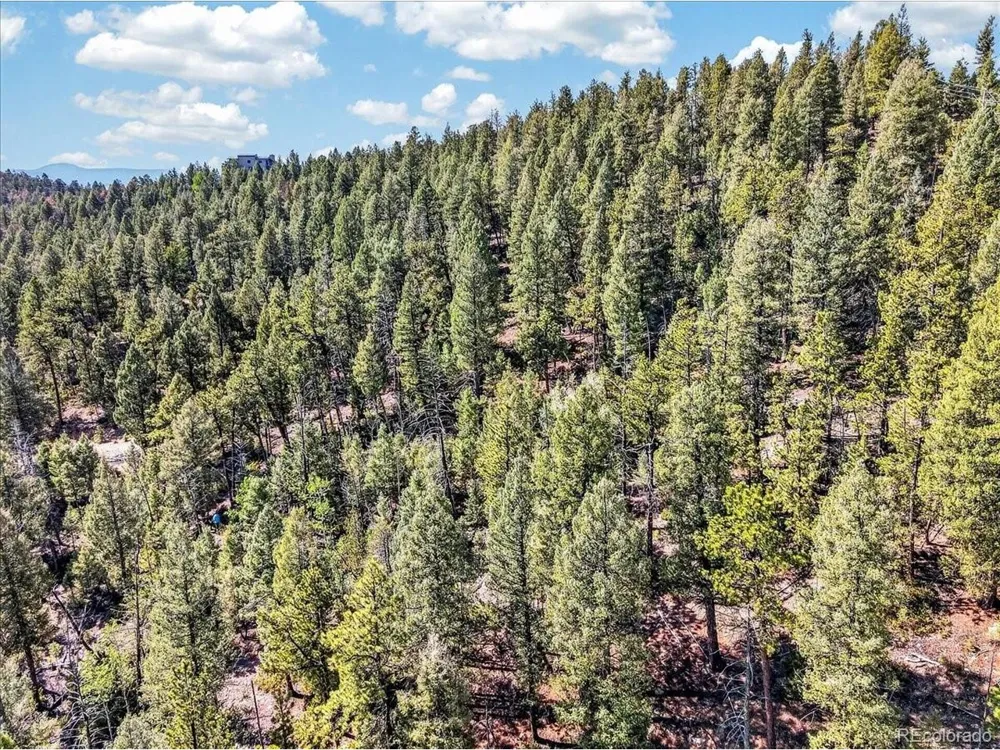 12907 S Cindy Avenue Pine, CO 80470