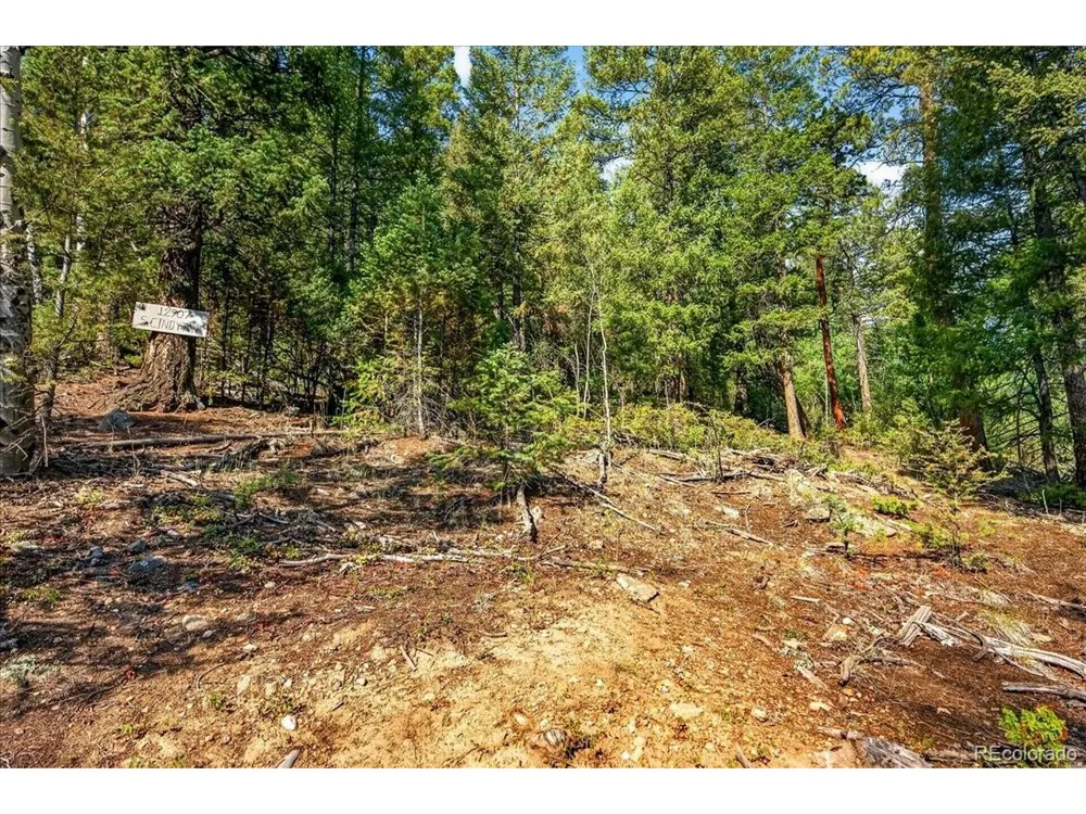 12907 S Cindy Avenue Pine, CO 80470