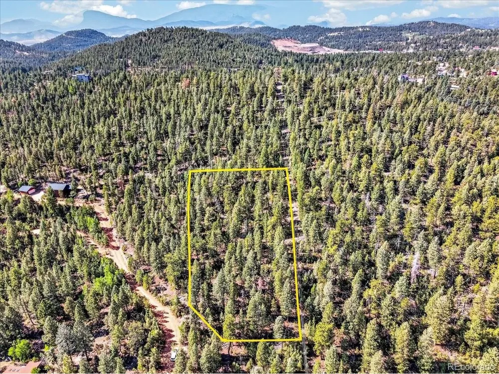 12907 S Cindy Avenue Pine, CO 80470