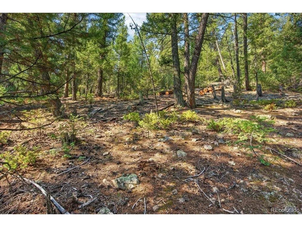 12907 S Cindy Avenue Pine, CO 80470