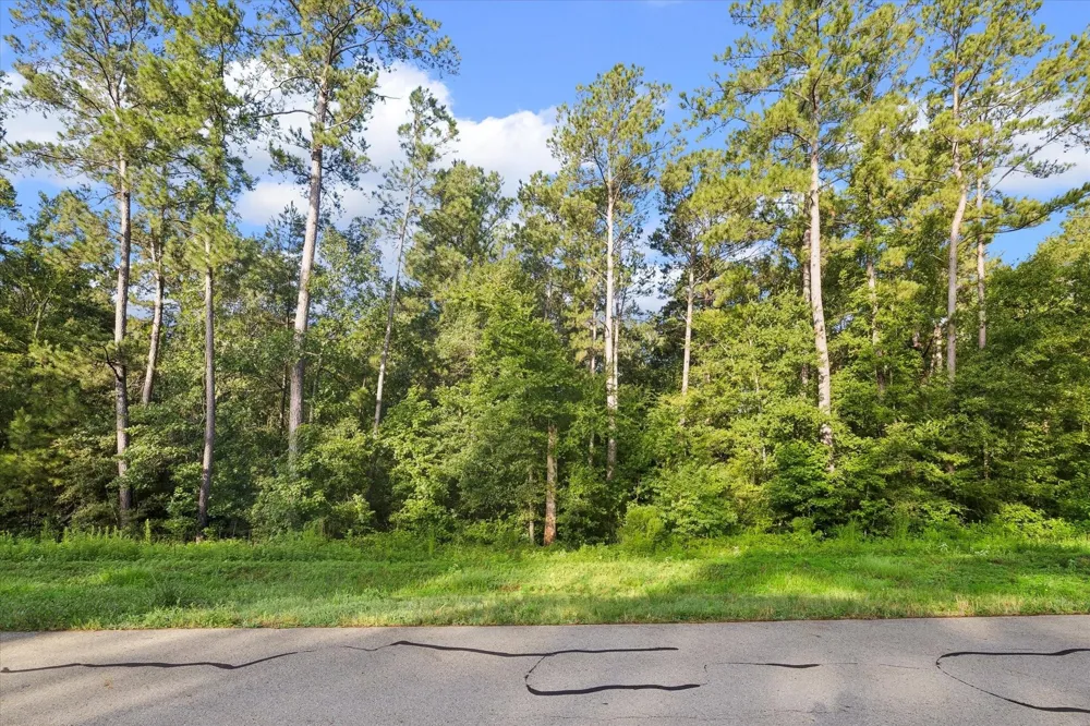 Sandpiper Drive New Waverly, TX 77358