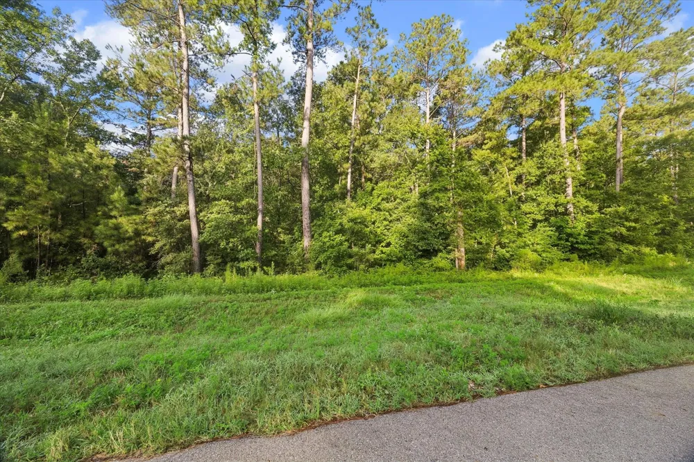 Sandpiper Drive New Waverly, TX 77358