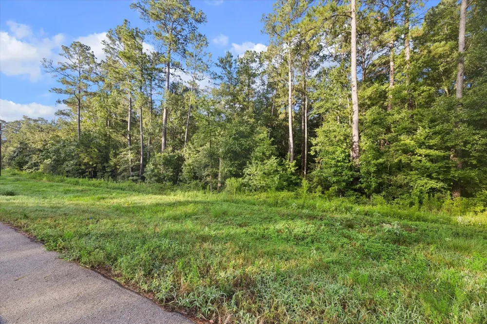 Sandpiper Drive New Waverly, TX 77358