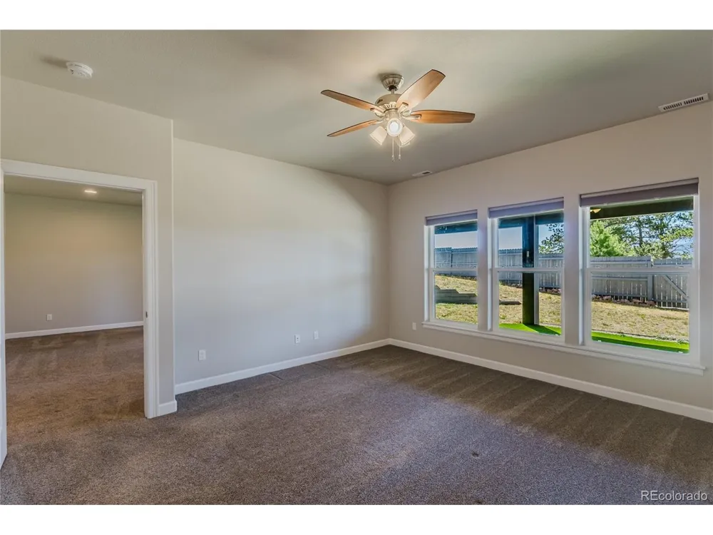 407 Silvermoon Hts Divide, CO 80814