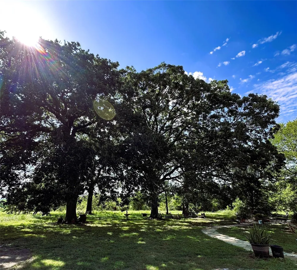 2624 Saint Beulah Chapel Road Montgomery, TX 77316