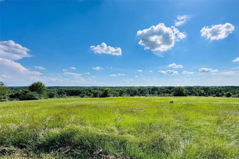 2624 Saint Beulah Chapel Road Montgomery, TX 77316