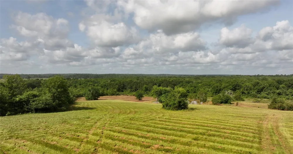 2624 Saint Beulah Chapel Road Montgomery, TX 77316
