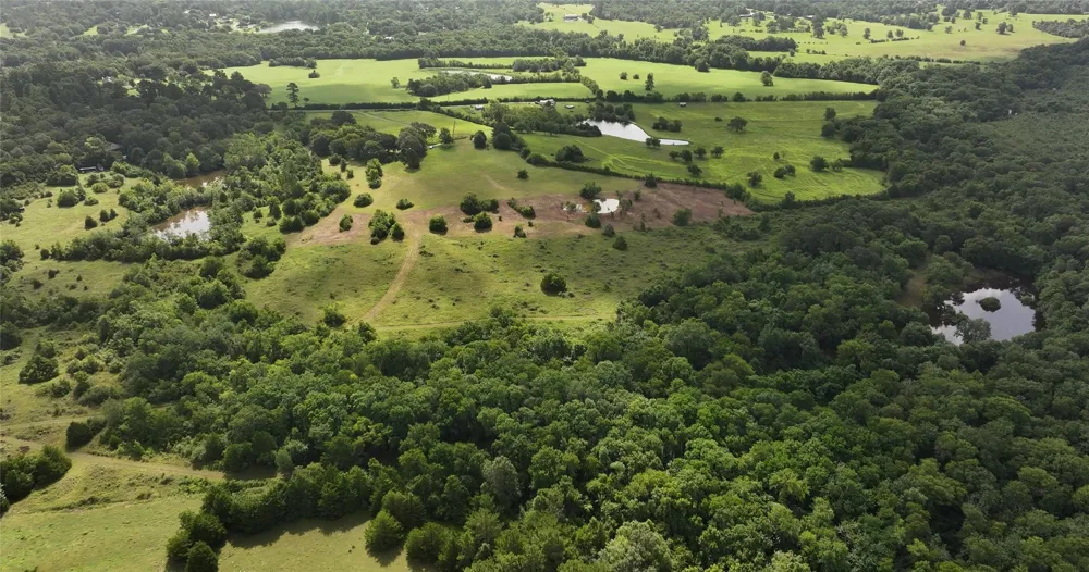 2624 Saint Beulah Chapel Road Montgomery, TX 77316