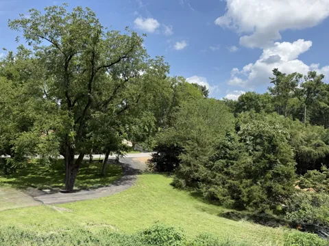 4119 Moss Rose Dr