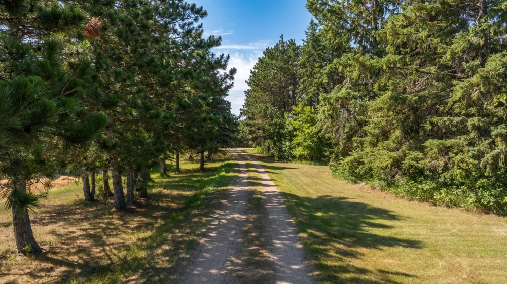 20990 110th Street Park Rapids, MN 56470