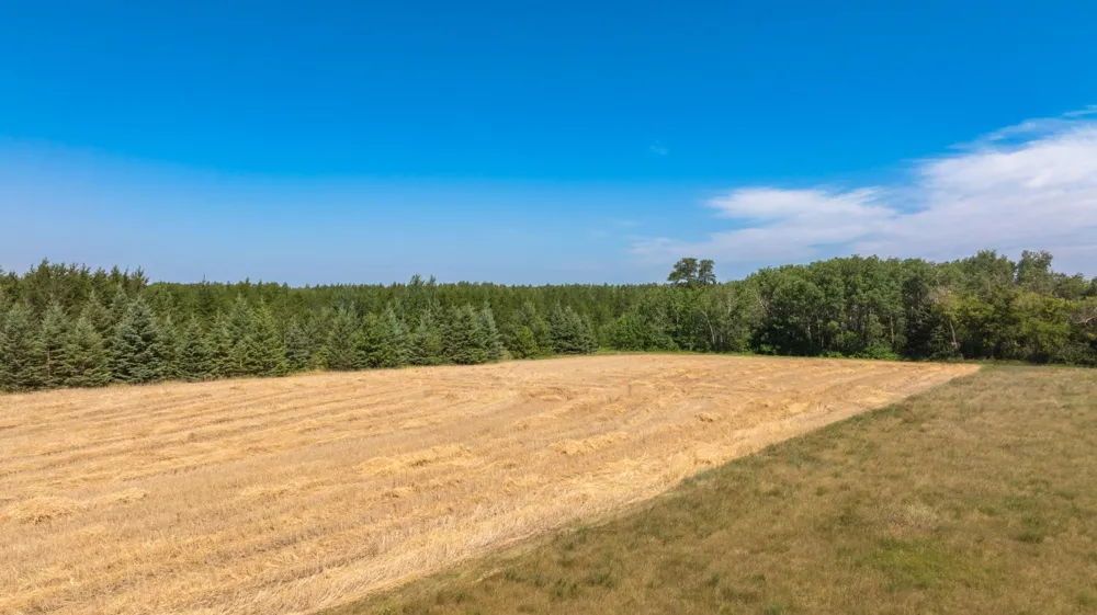 20990 110th Street Park Rapids, MN 56470