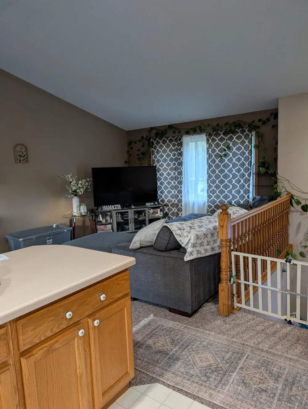 137 Barony Road Le Sueur, MN 56058