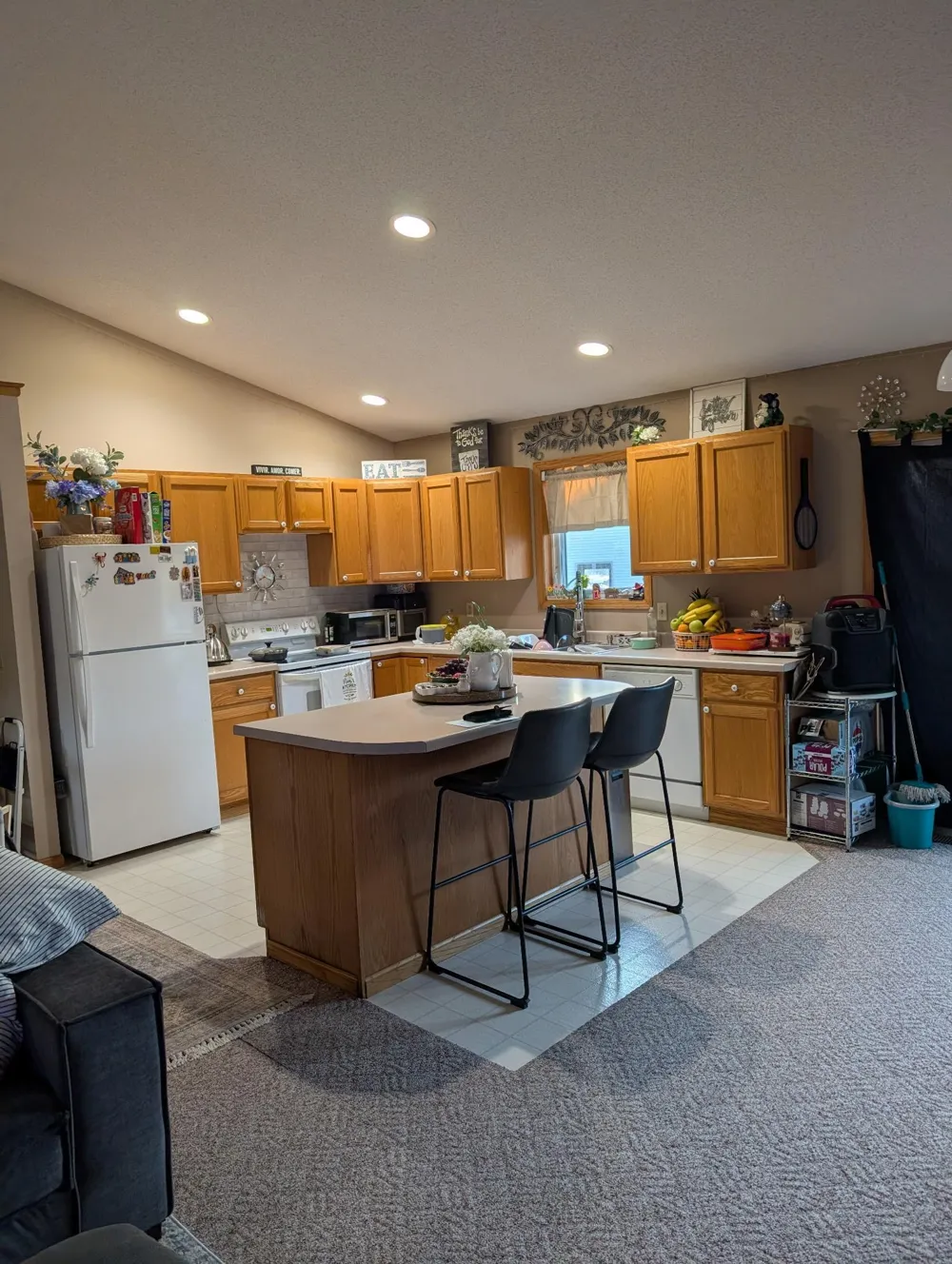 137 Barony Road Le Sueur, MN 56058