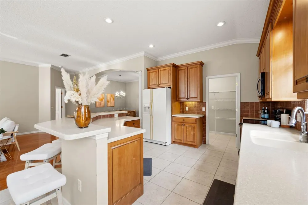 19425 MELODY FAIR PLACE Lutz, FL 33558