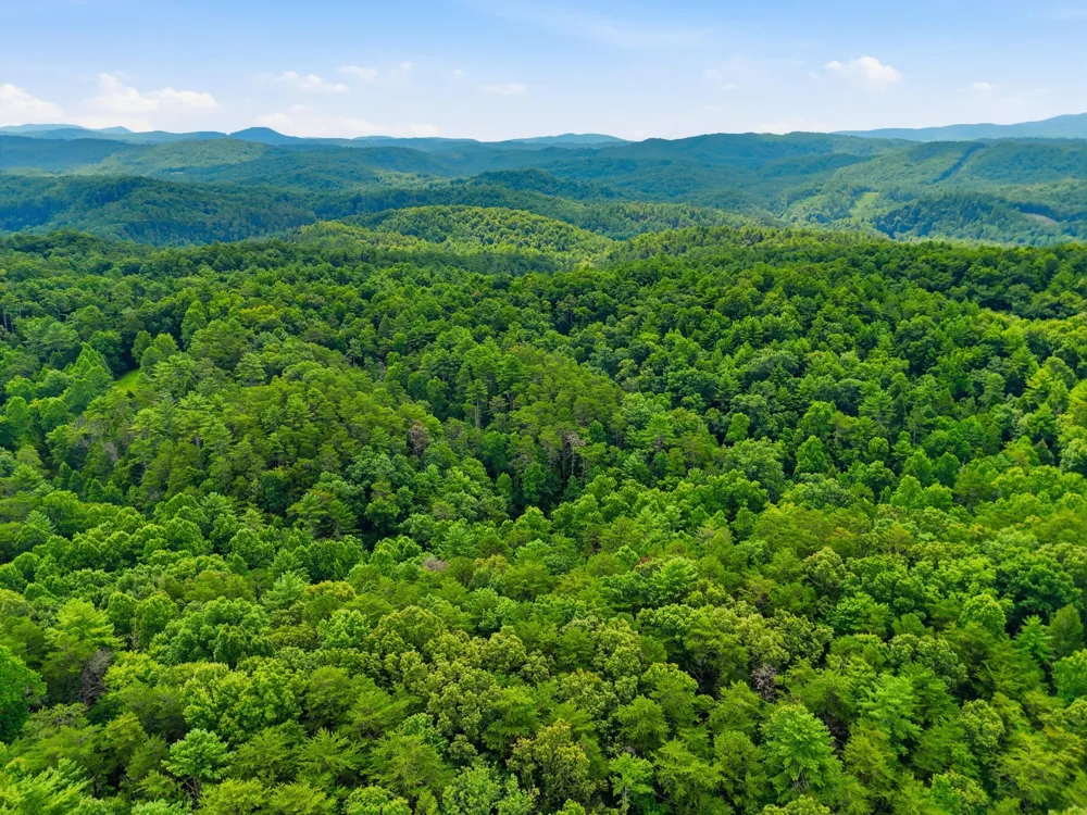 2 Dog Hollow Road Reliance, TN 37369