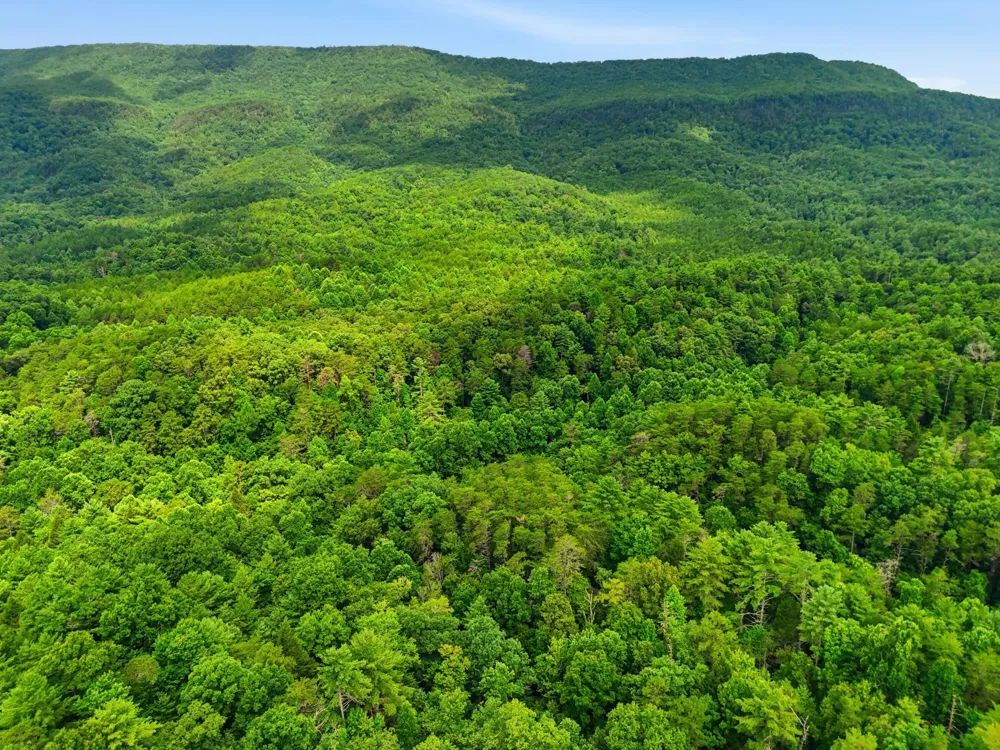 2 Dog Hollow Road Reliance, TN 37369