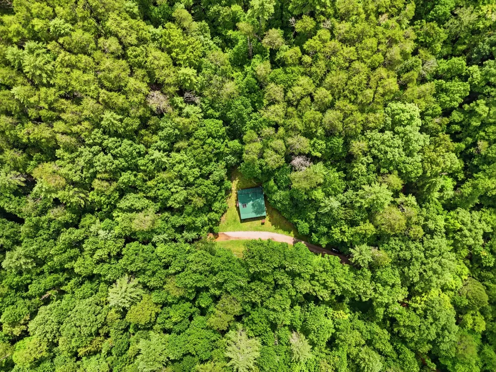 2 Dog Hollow Road Reliance, TN 37369
