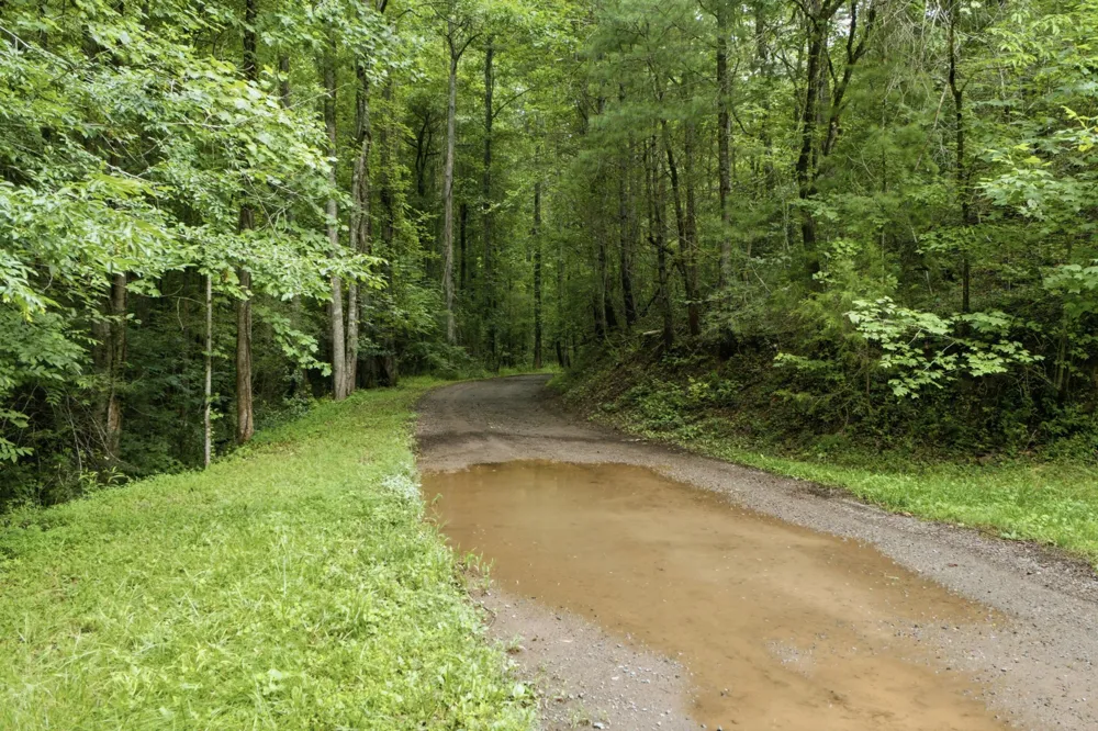 2 Dog Hollow Road Reliance, TN 37369