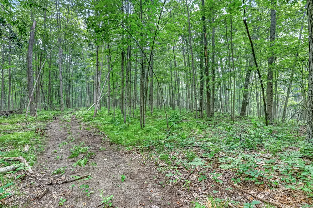 8045 W 16 Mile Troy Township, MI 49309