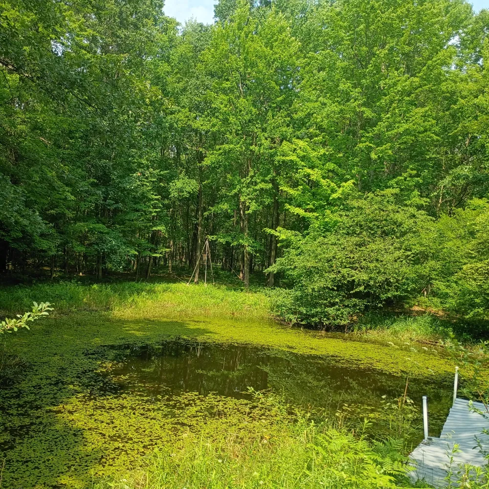 8045 W 16 Mile Troy Township, MI 49309