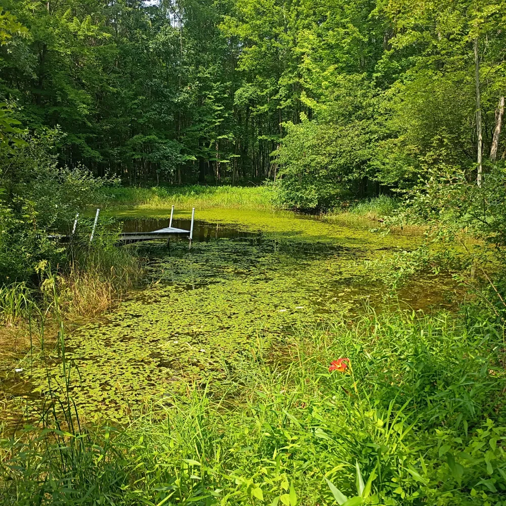 8045 W 16 Mile Troy Township, MI 49309