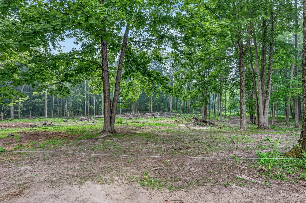8045 W 16 Mile Troy Township, MI 49309