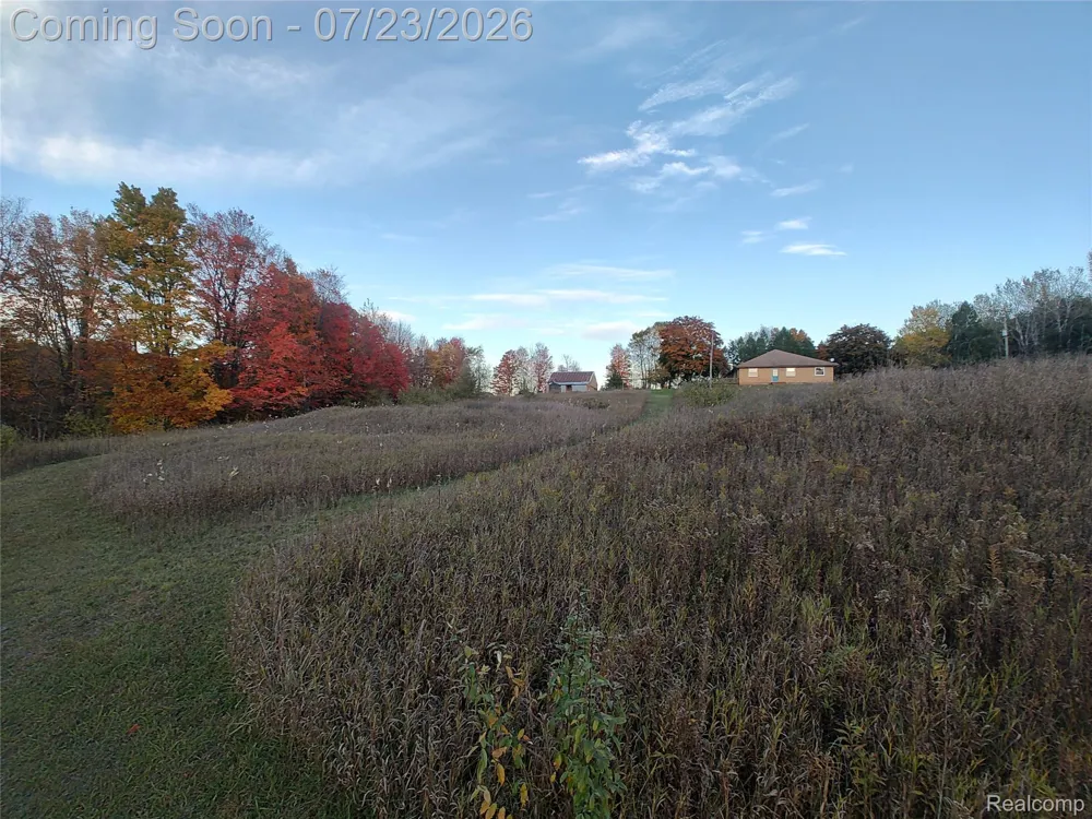 17792 22 Mile Road Sherman Township, MI 49688
