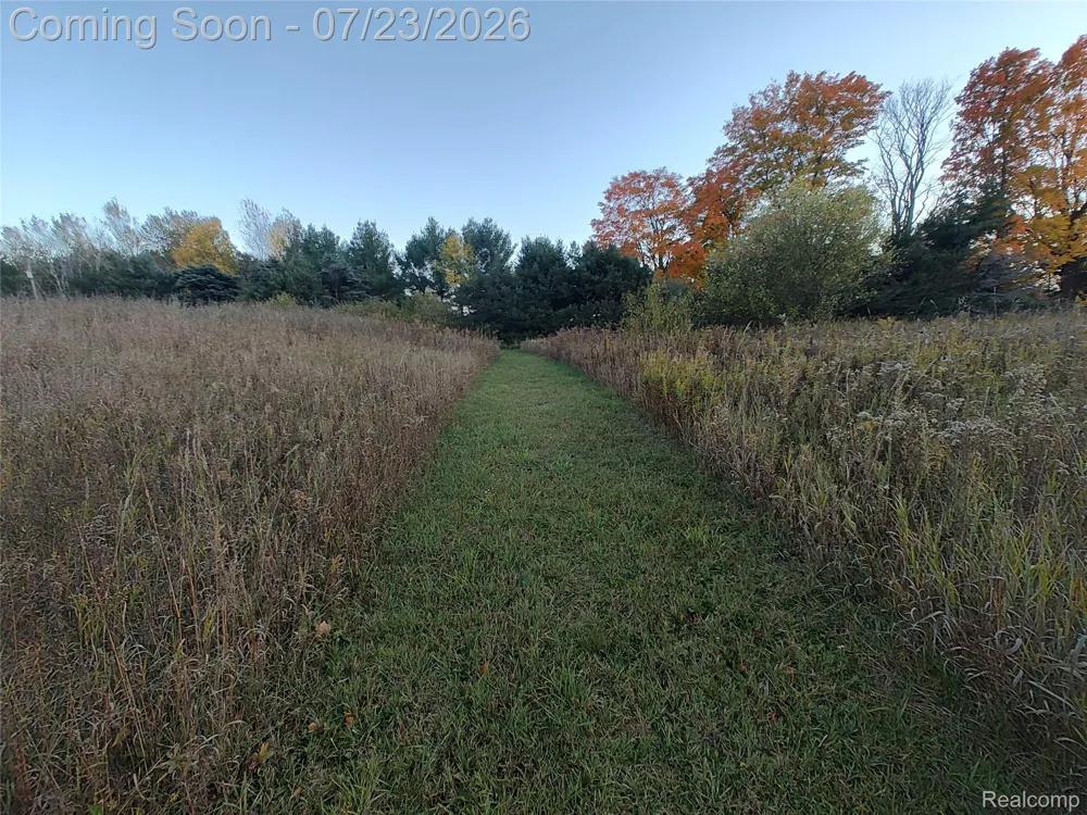 17792 22 Mile Road Sherman Township, MI 49688