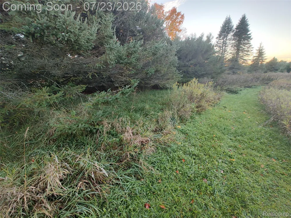 17792 22 Mile Road Sherman Township, MI 49688