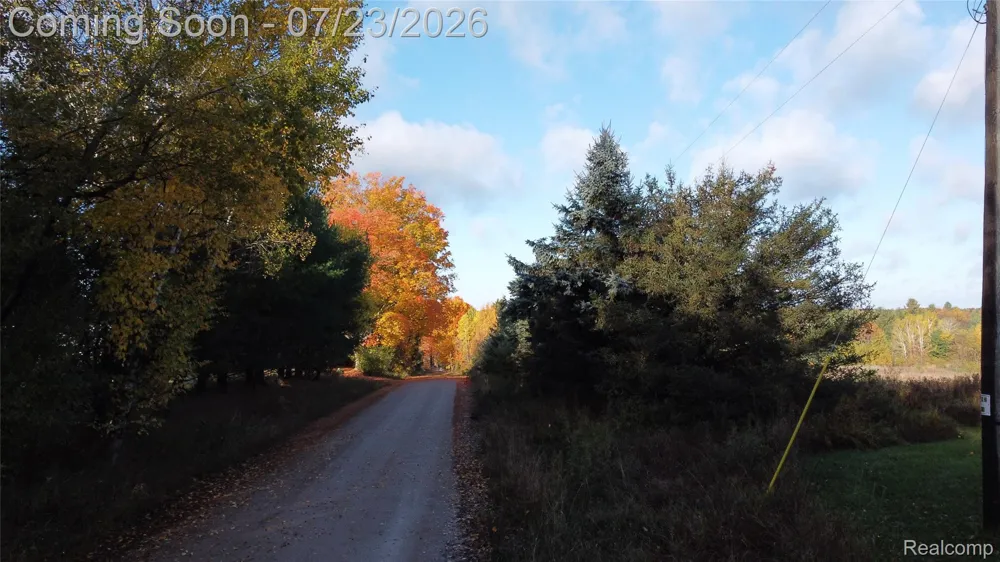 17792 22 Mile Road Sherman Township, MI 49688