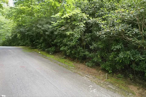 127 Conifer Falls Road
