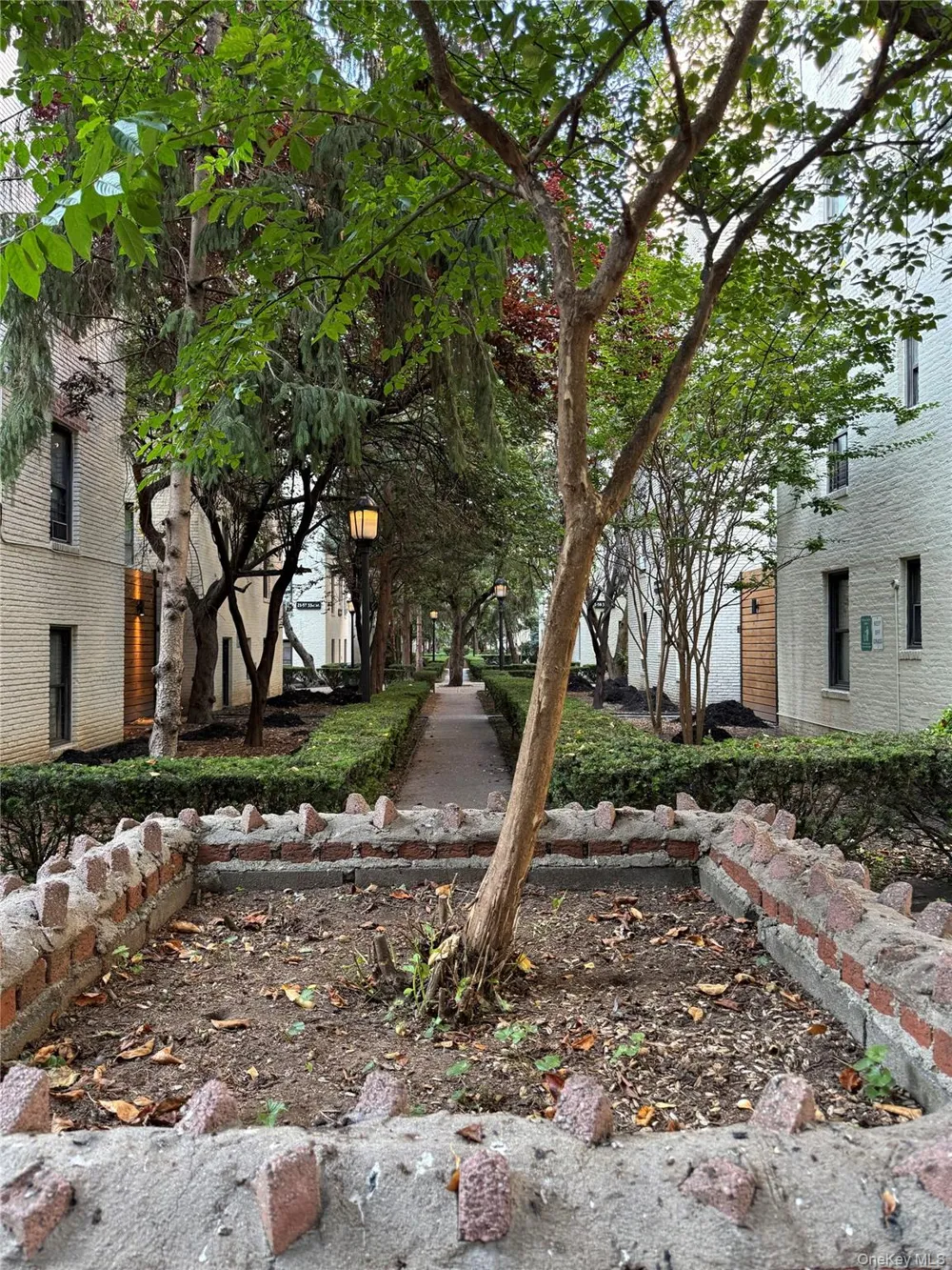 2167 33rd Street #3H Astoria, NY 11105