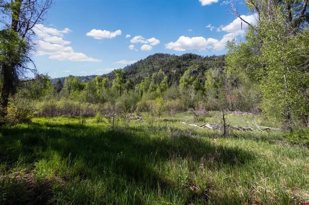 Hwy 145 Dolores, CO 81323