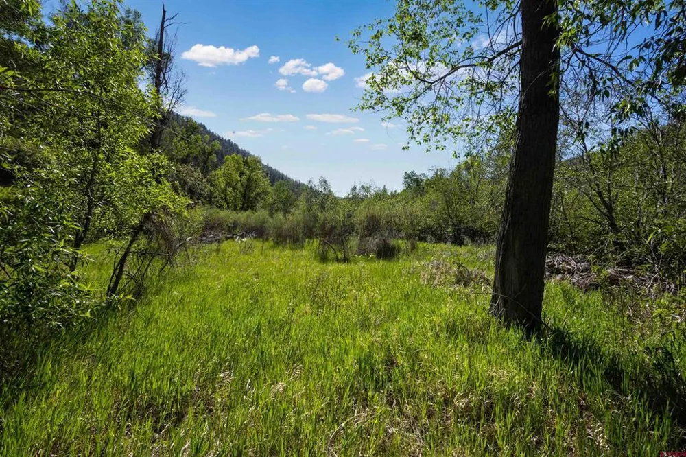Hwy 145 Dolores, CO 81323