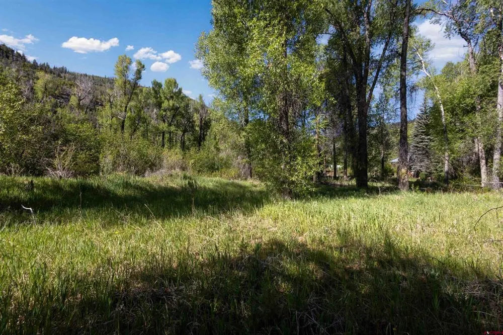Hwy 145 Dolores, CO 81323