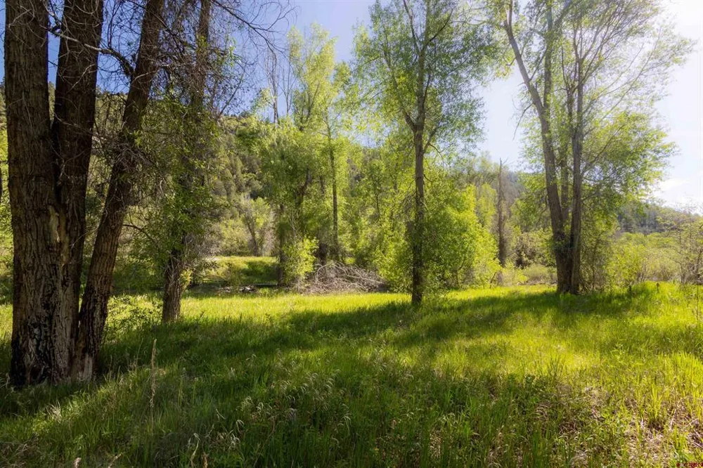 Hwy 145 Dolores, CO 81323