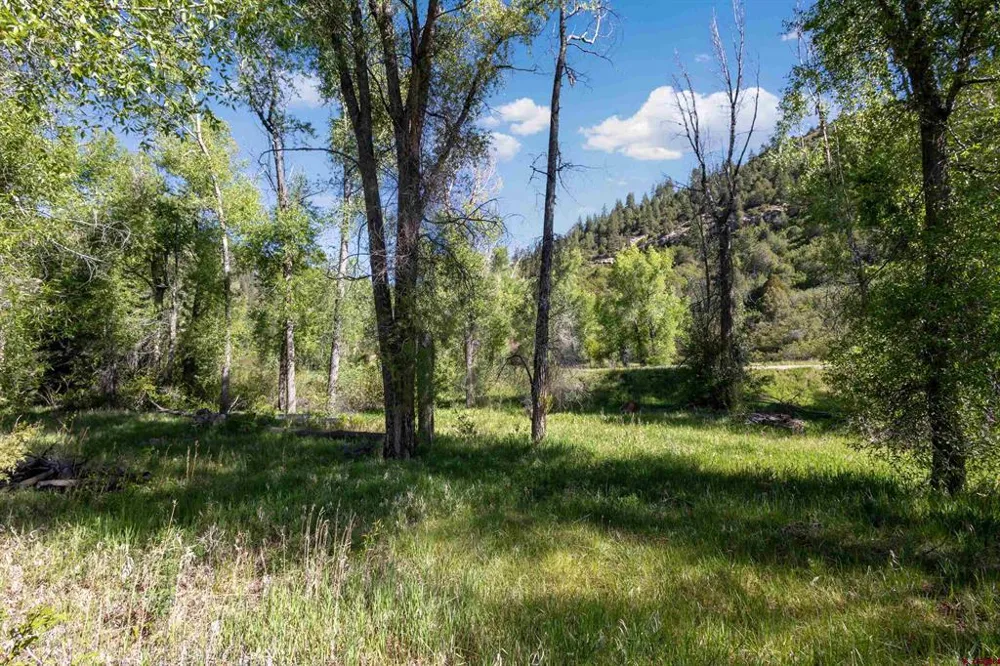Hwy 145 Dolores, CO 81323
