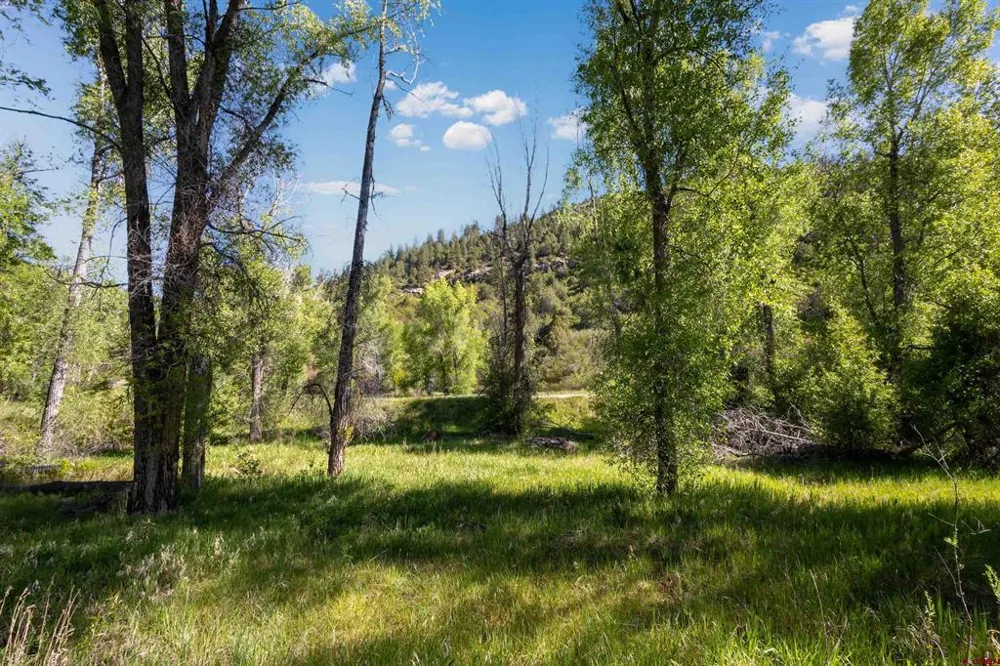 Hwy 145 Dolores, CO 81323