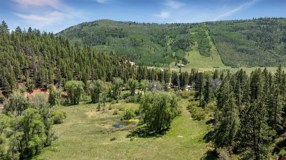 Road 40 Dolores, CO 81323