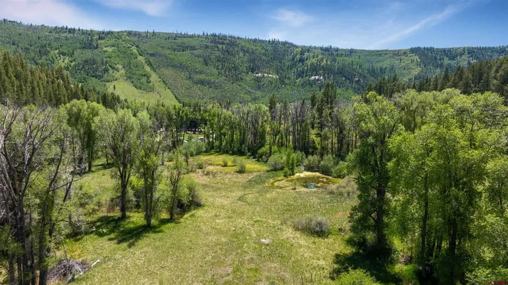 Road 40 Dolores, CO 81323