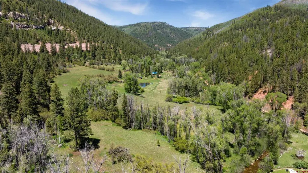 Road 40 Dolores, CO 81323