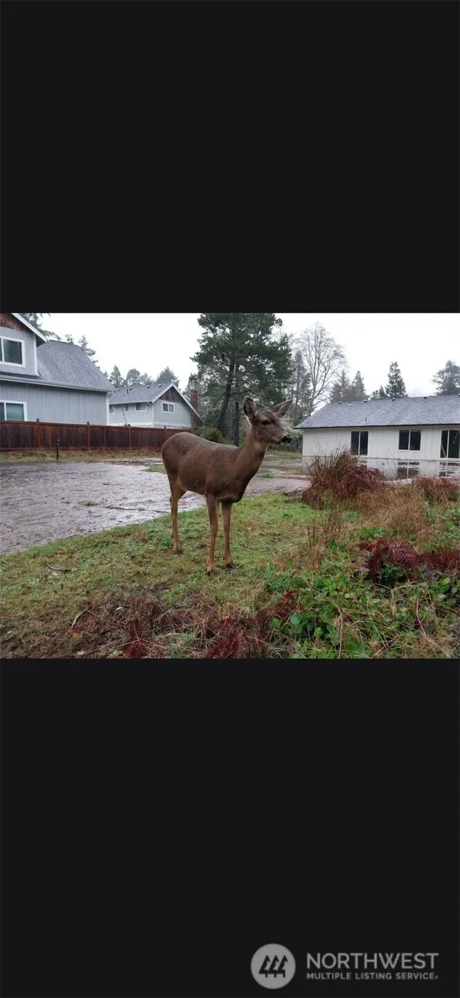 30506 Place Ocean Park, WA 98640